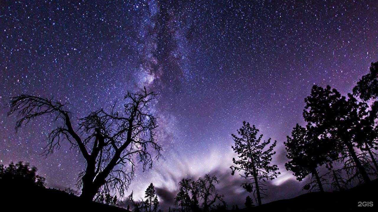 Отзывы на компанию My studio в Йошкар-Оле c фото