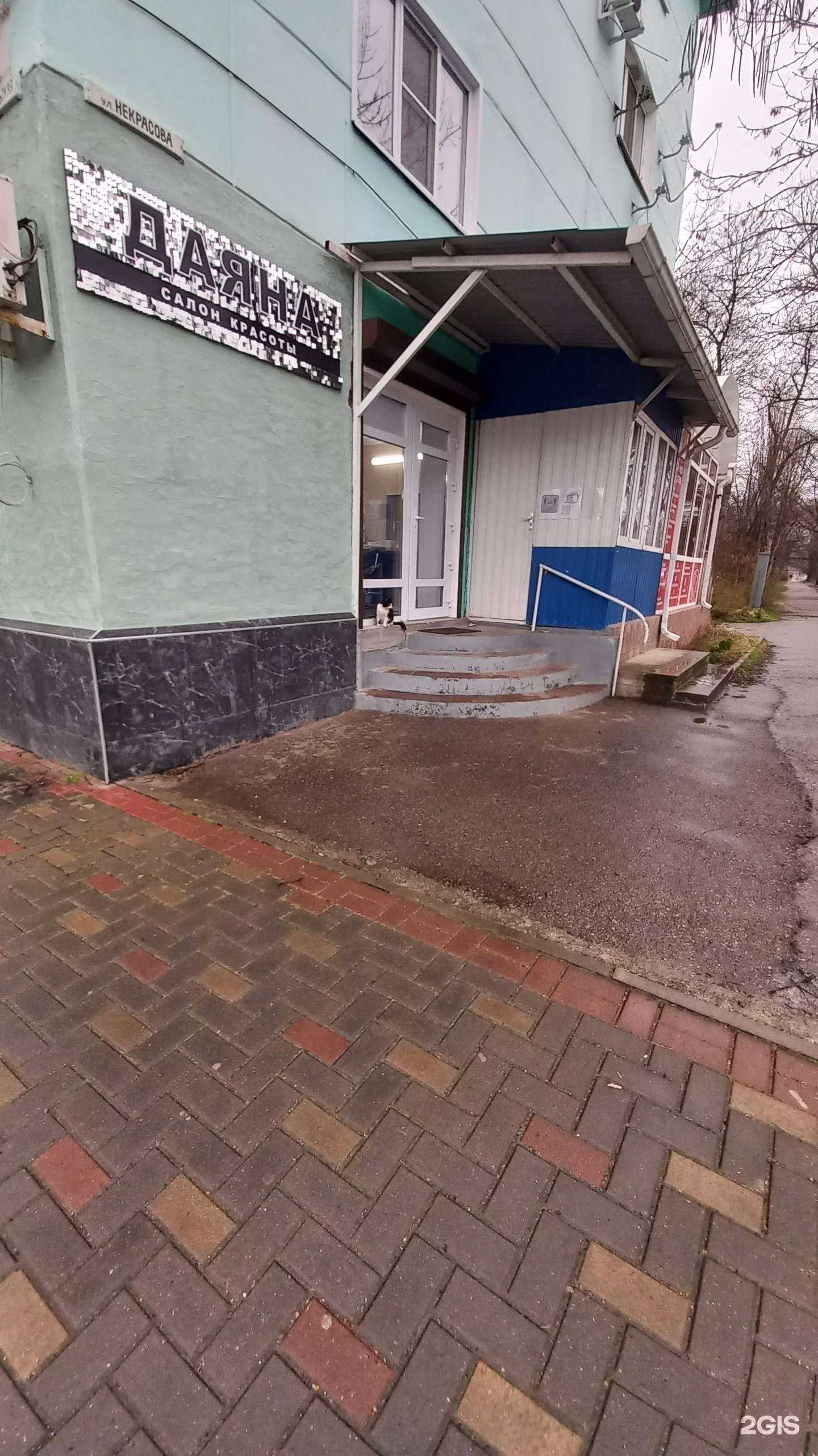 Отзывы на компанию Даяна в Майкопе c фото