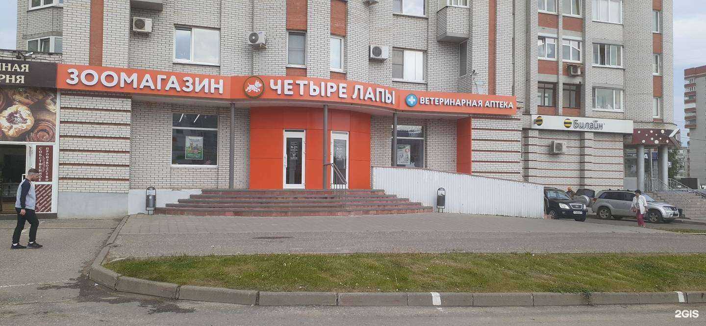 Отзывы на компанию Четыре лапы в г. Владимир c фото