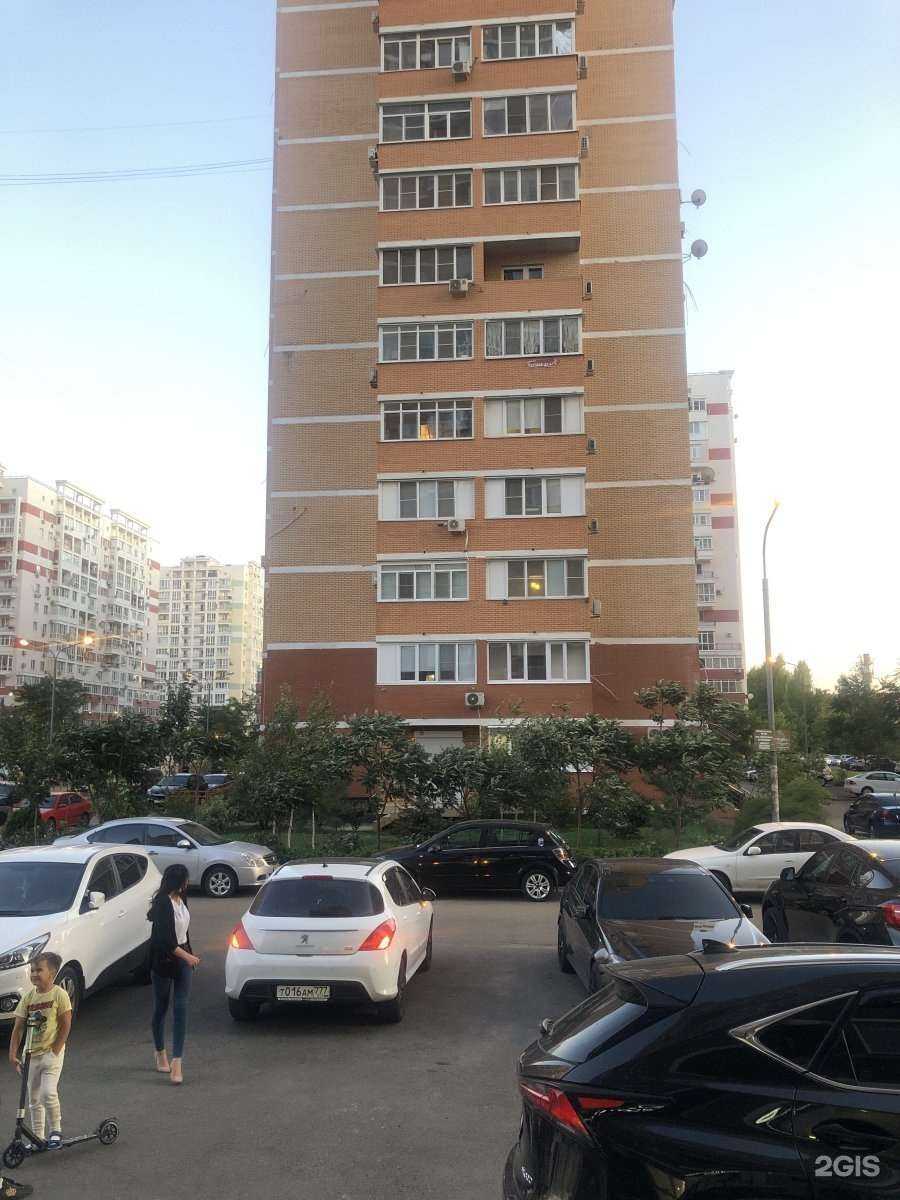 Отзывы на компанию Озорные ёжики в Краснодаре c фото - фотография 2 из 2