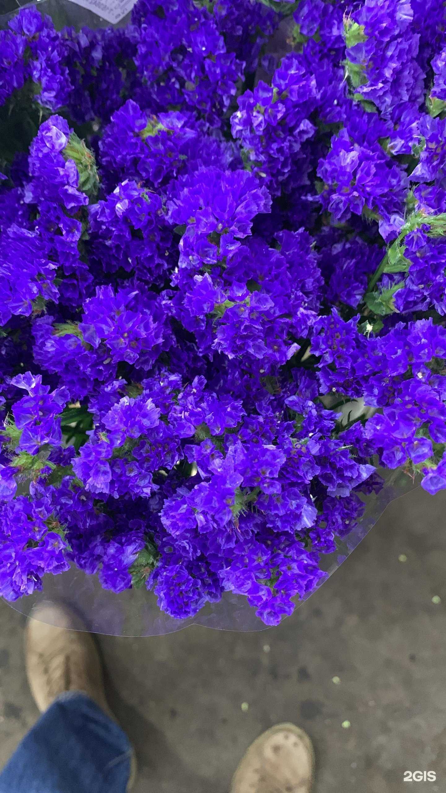 Отзывы на компанию МурМур Студио: кофе и цветы в Красногорске c фото