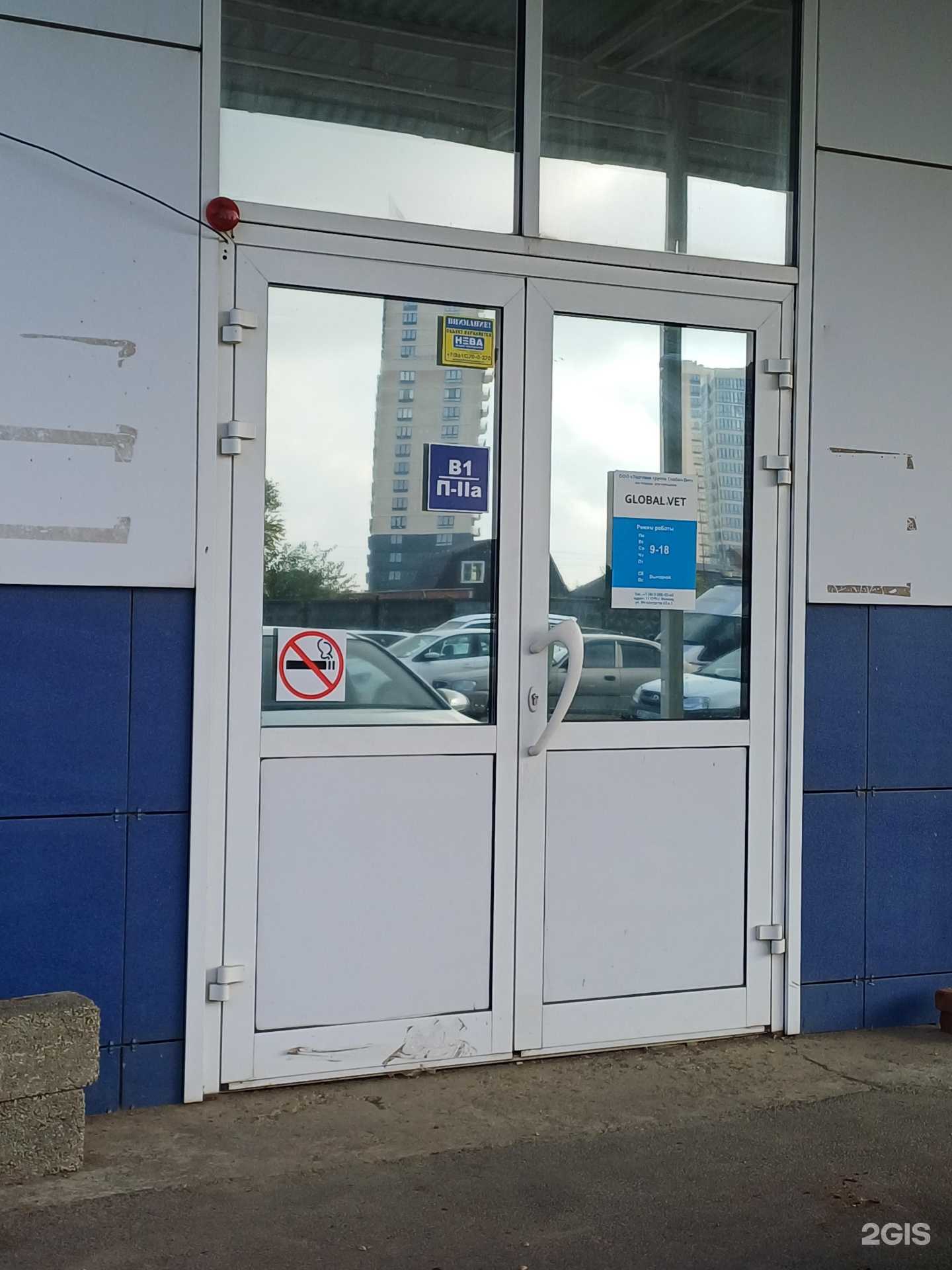 Отзывы на компанию Global.vet в Краснодаре c фото