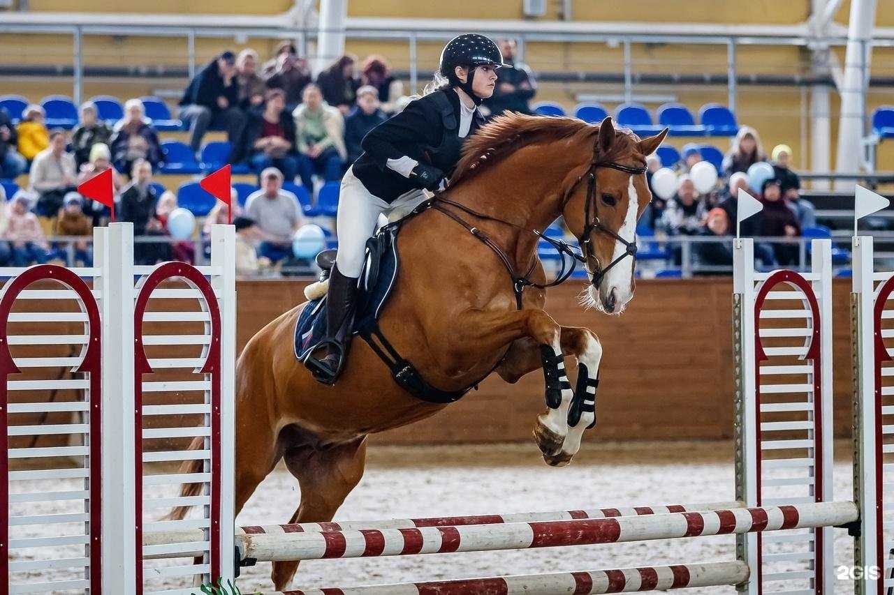 Отзывы на компанию Конноспортивная школа Курской области в г. Курск c фото