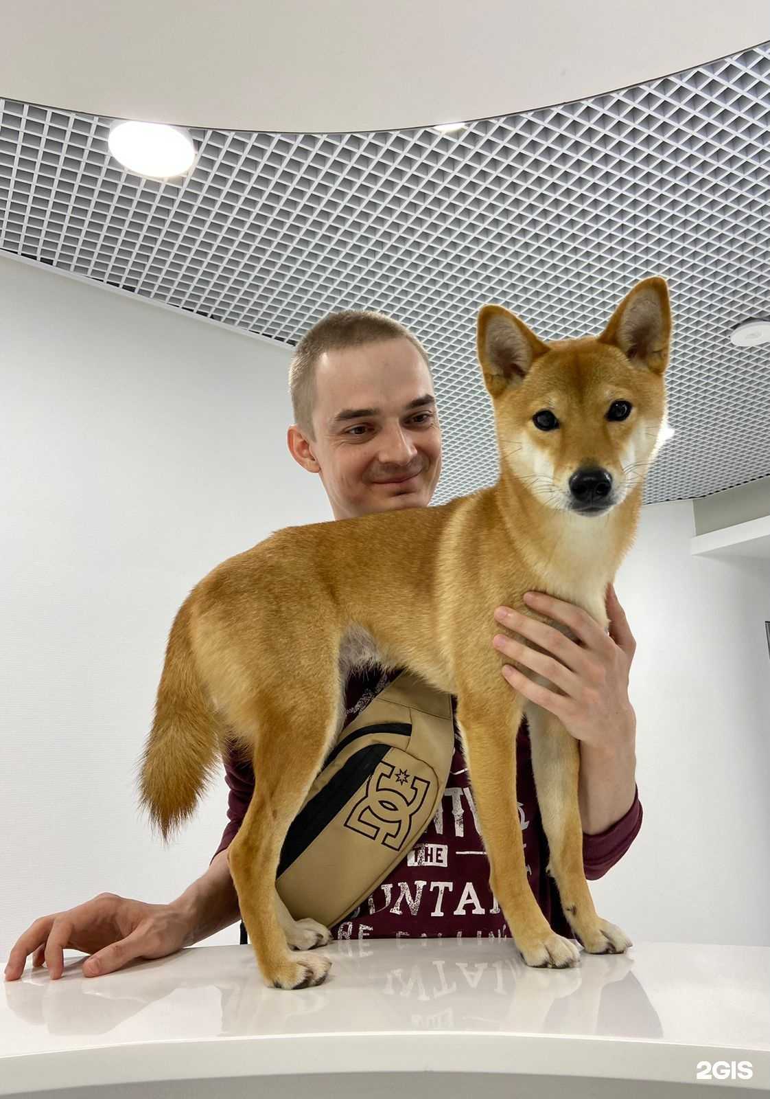 Отзывы на компанию Центр здоровья животных в Уфе c фото