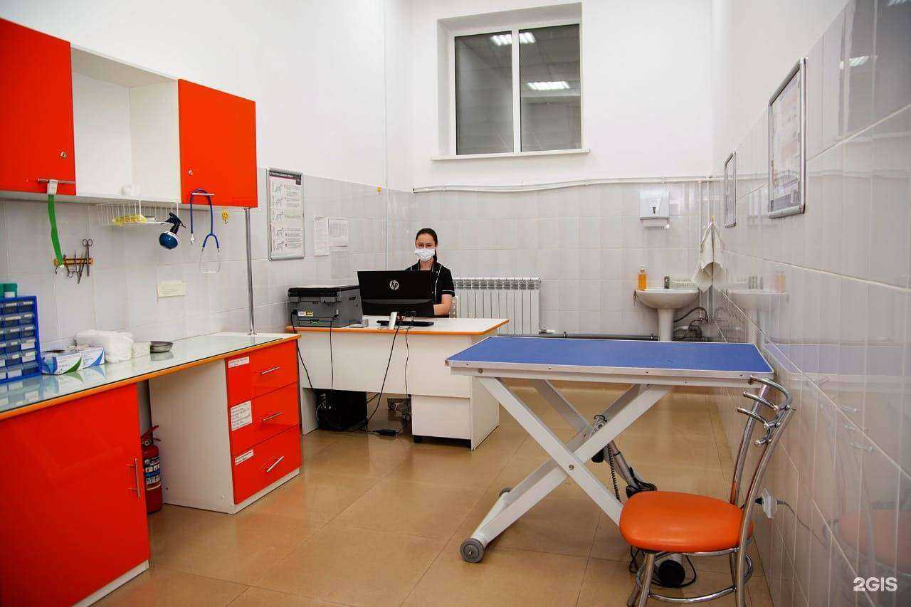 Отзывы на компанию Свой доктор в г. Уссурийск c фото