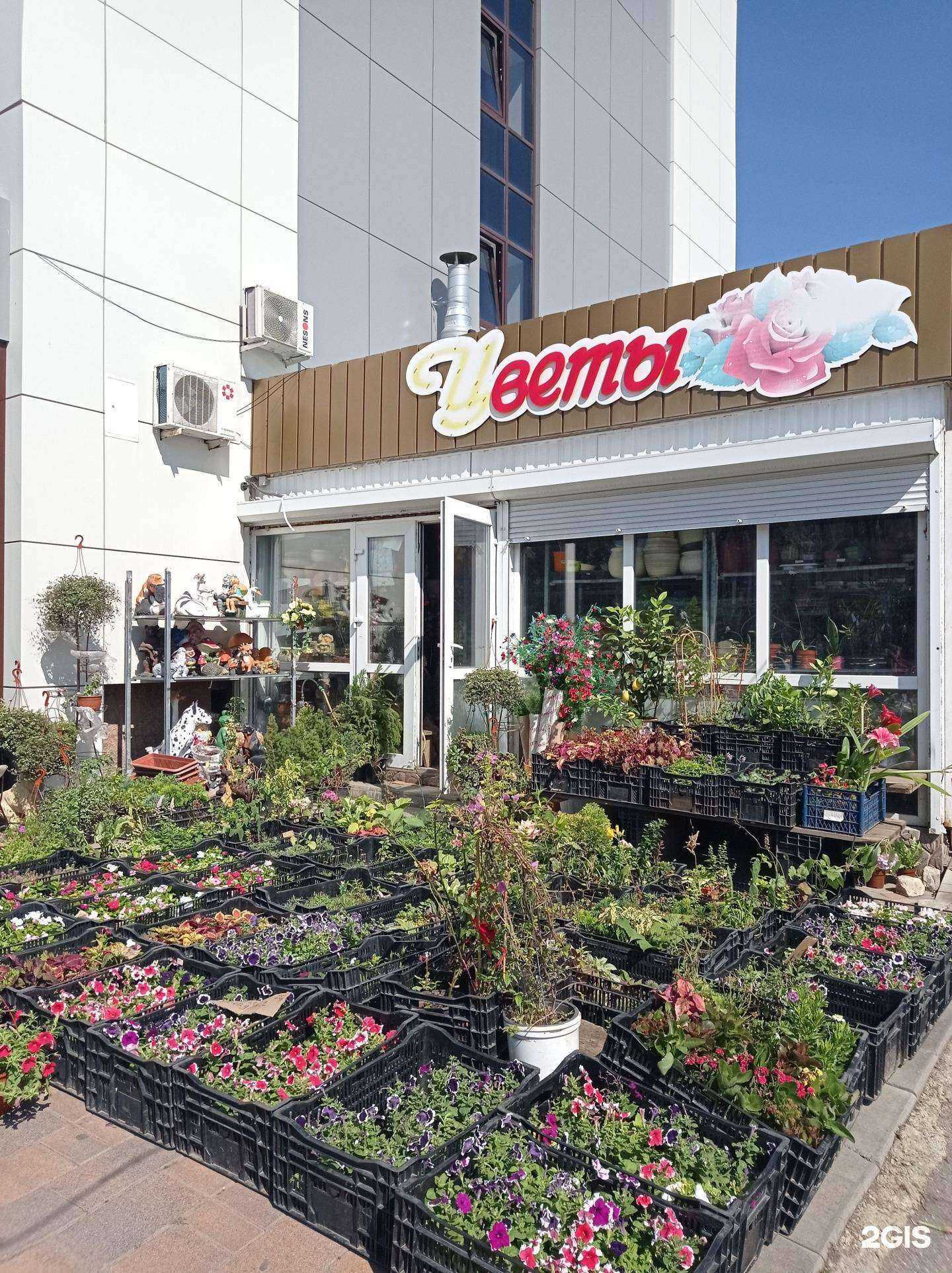 Отзывы на компанию Сев-Кав Цветы в Невинномысске c фото