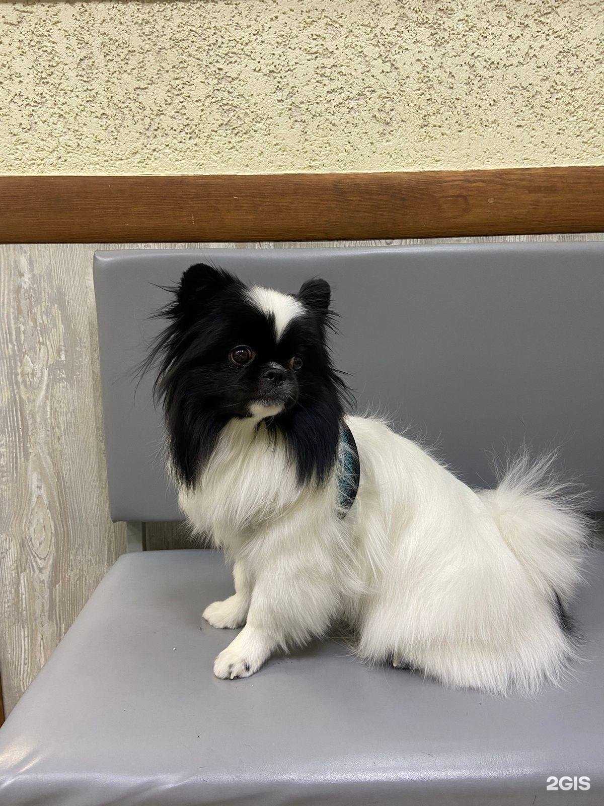 Отзывы на компанию Фелис в г. Всеволожск c фото