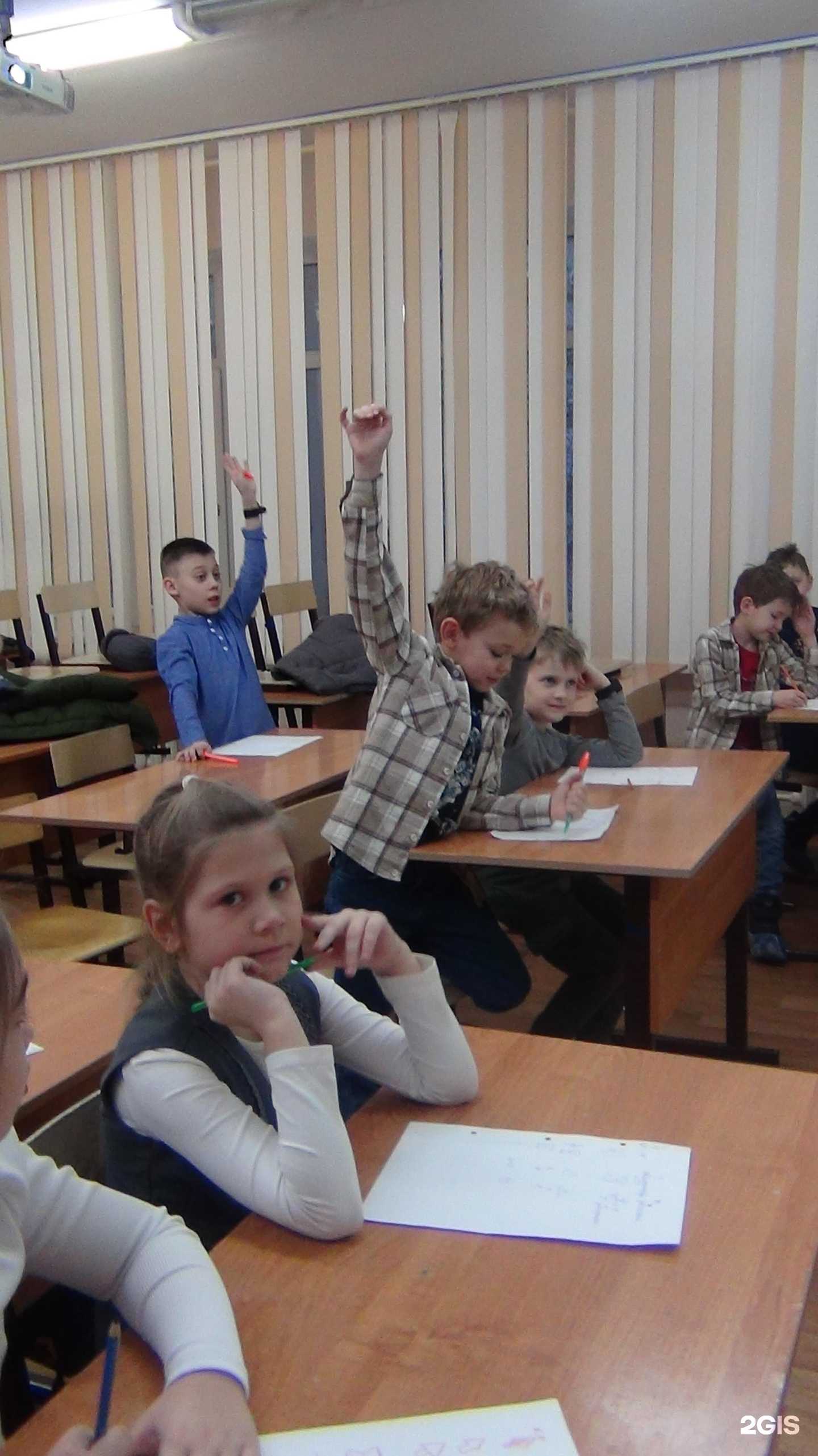 Отзывы на компанию Программист в г. Хабаровск c фото