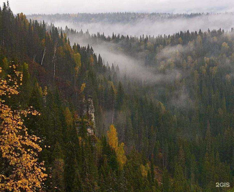 Отзывы на компанию Лесной двор в Артёме c фото