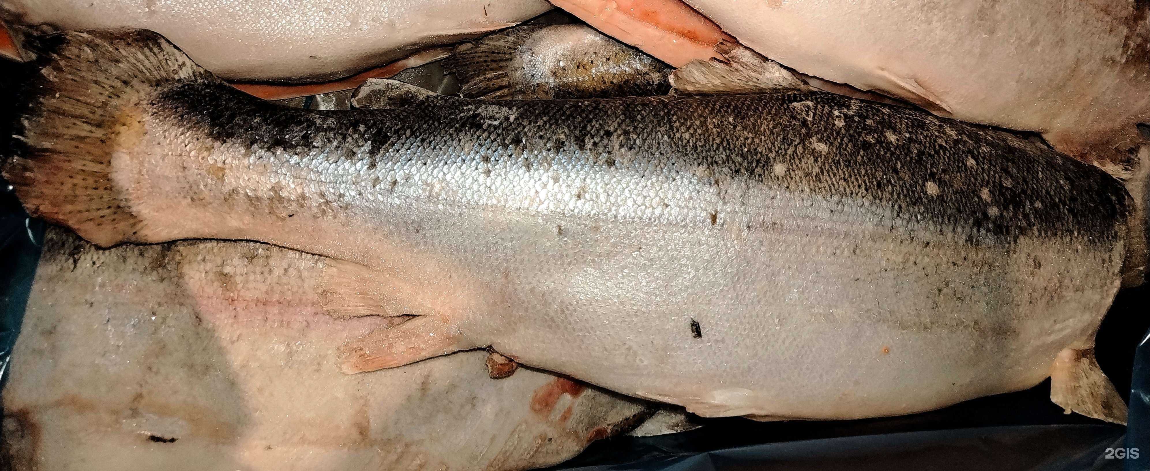 Отзывы на компанию Океан вкуса в Уфе c фото