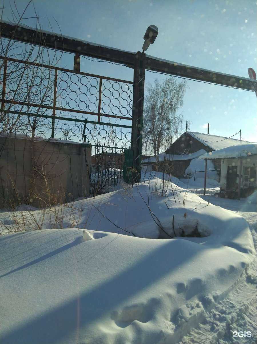 Отзывы на компанию Автоанальгин в Кемерове c фото - фотография 2 из 2