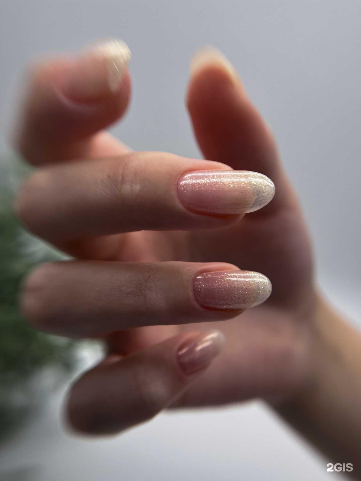 Отзывы на компанию School&Studio by Elena Chernova в г. Петропавловск-Камчатский c фото