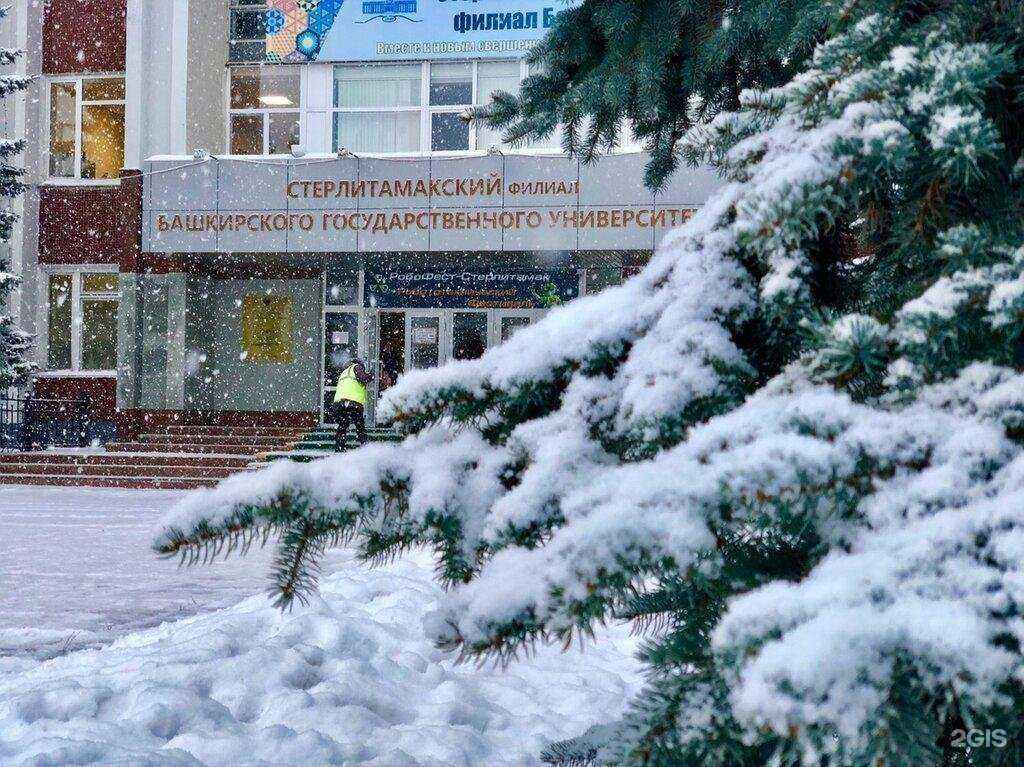 Отзывы на компанию Уфимский университет науки и технологий в Стерлитамаке c фото