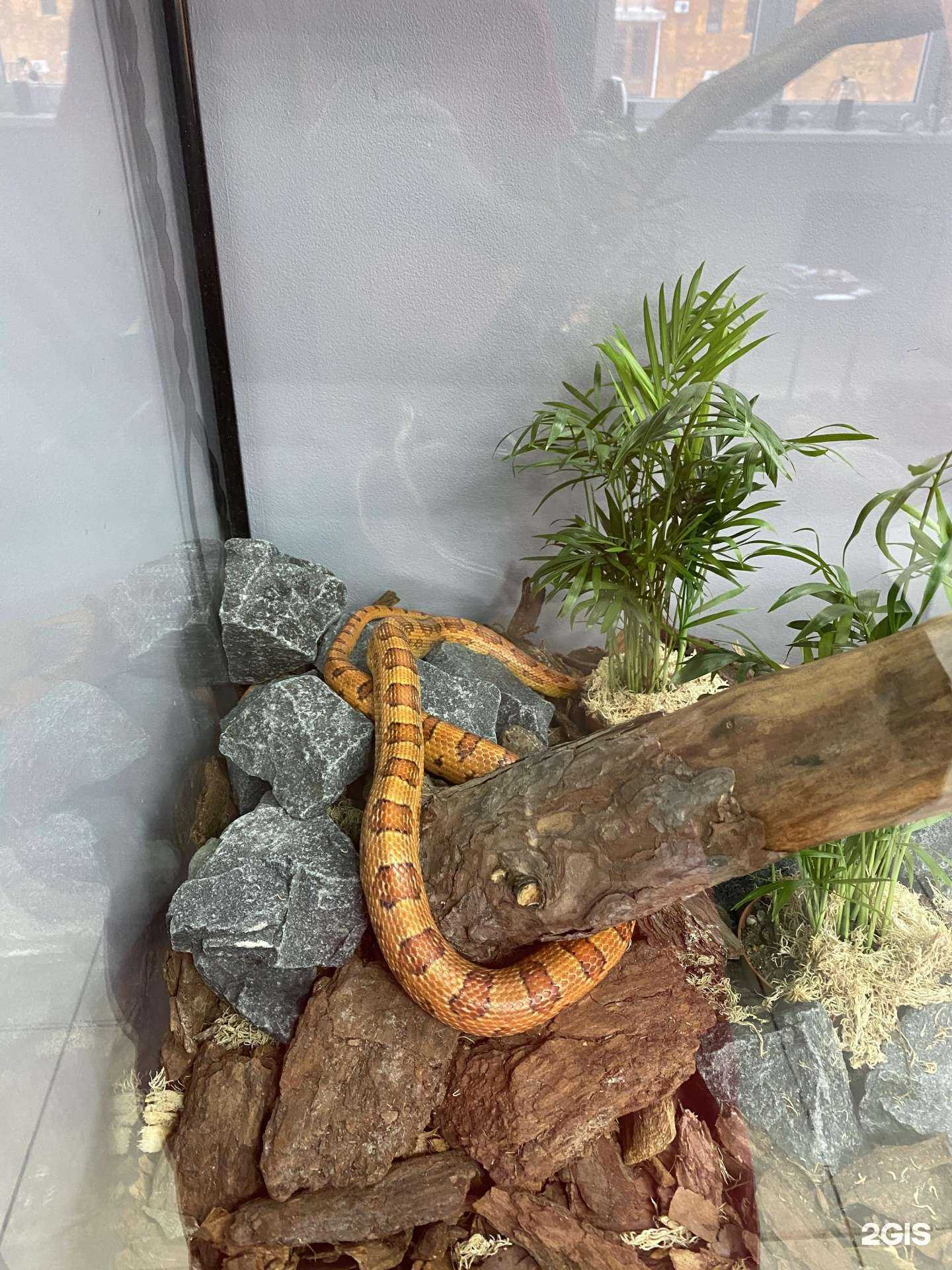 Отзывы на компанию Anakonda в Ульяновске c фото