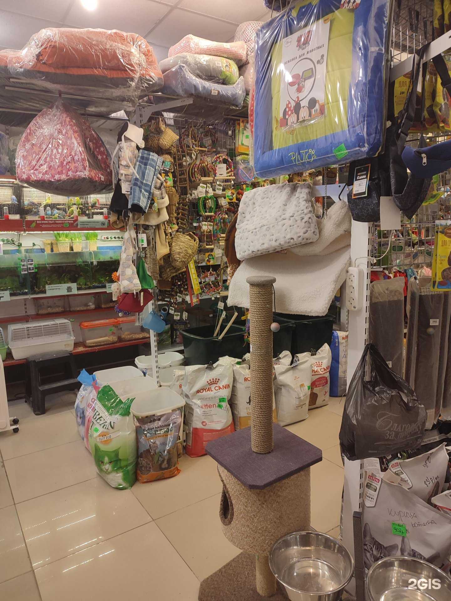 Отзывы на компанию Зверьё моё в г. Ставрополь c фото