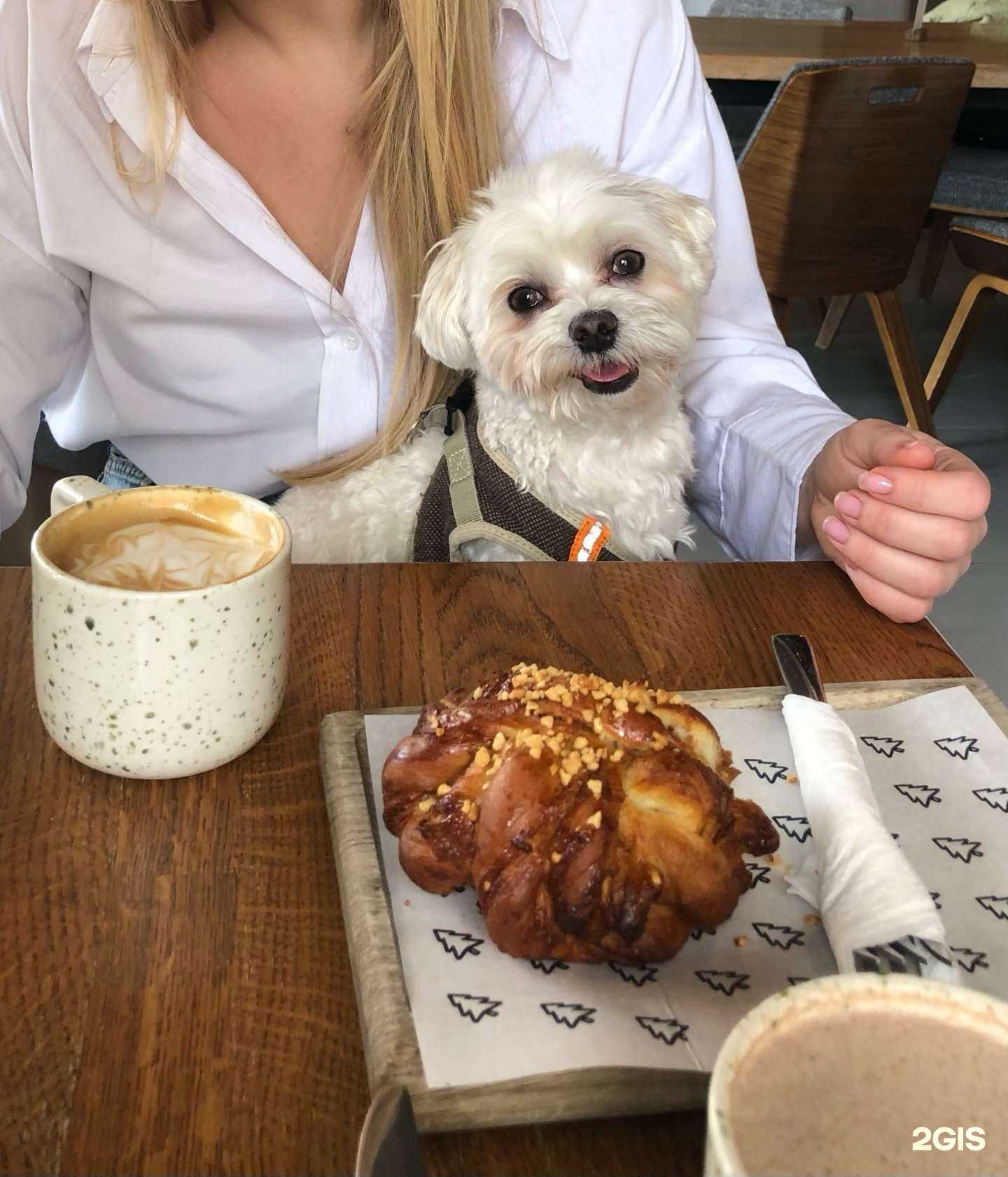 Отзывы на компанию Йель в Барнауле c фото