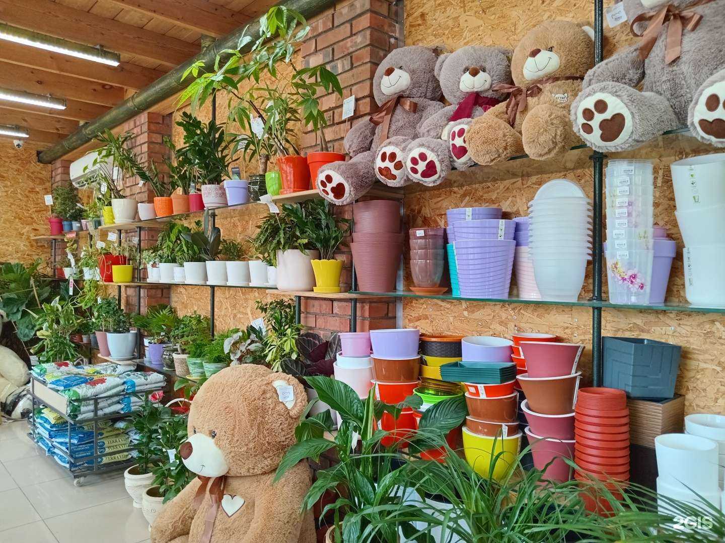 Отзывы на компанию Ирис в Улан-Удэ c фото