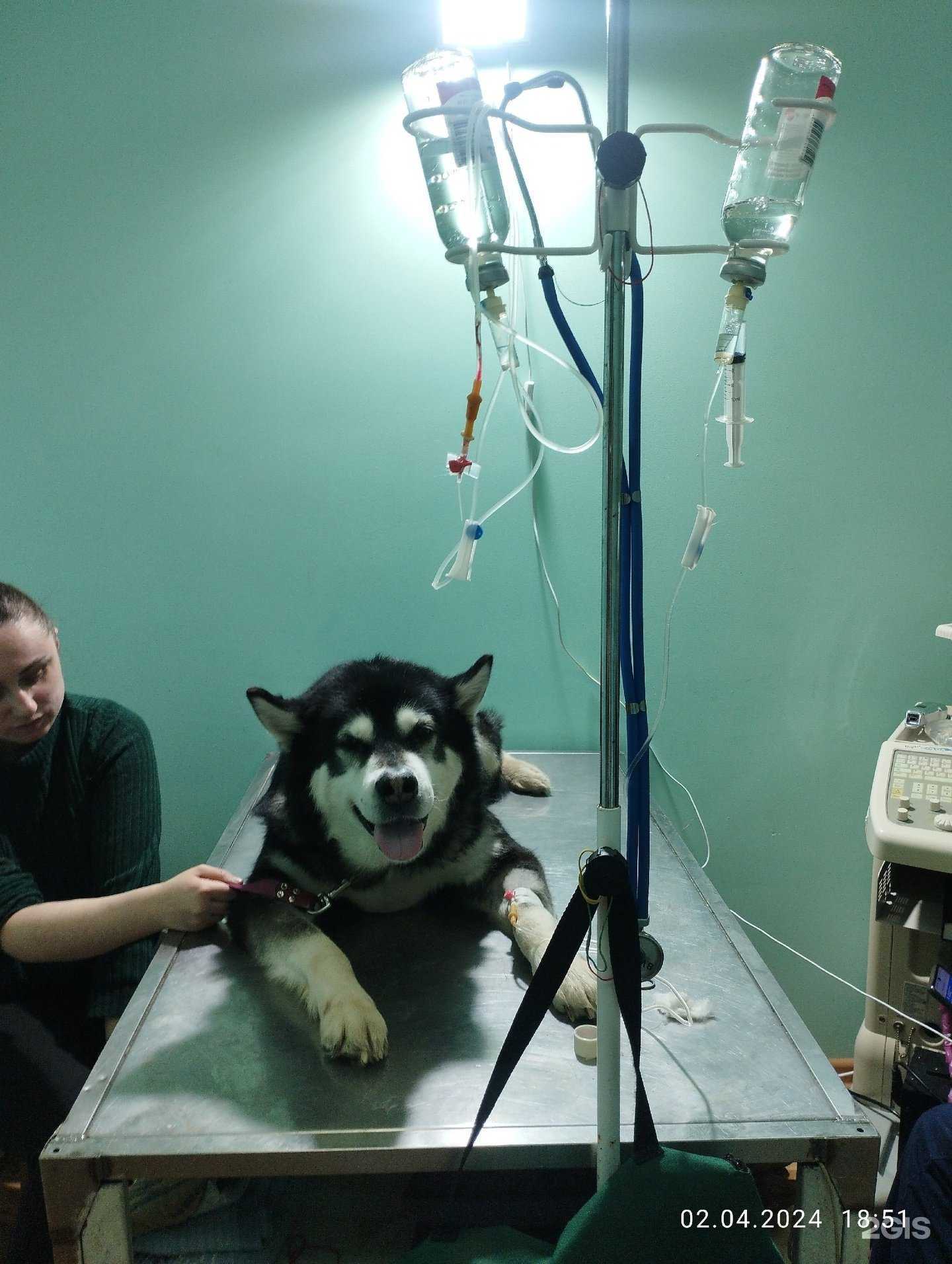 Отзывы на компанию Эконом в г. Пермь c фото