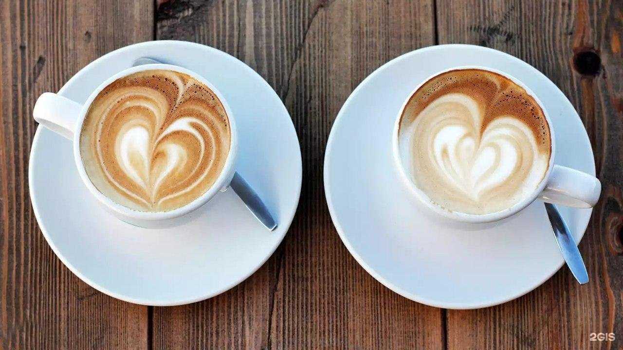 Отзывы на компанию Капучино в Волгограде c фото