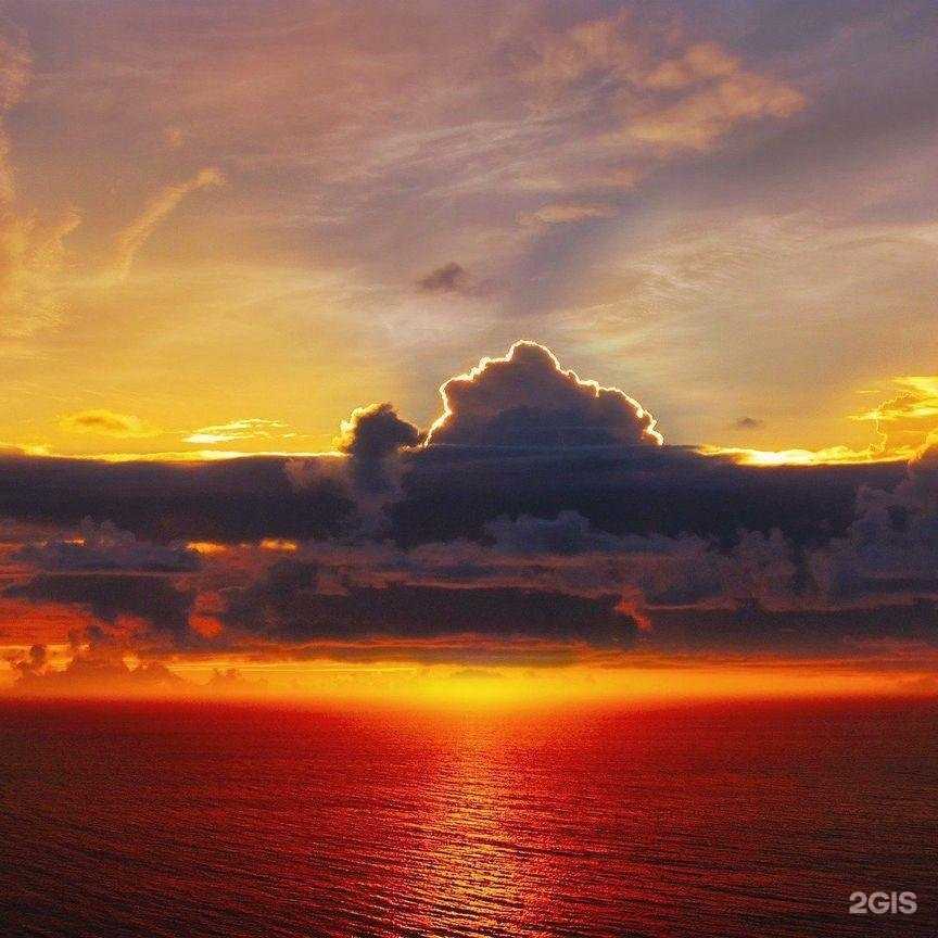 Отзывы на компанию Планета речи в г. Видное c фото