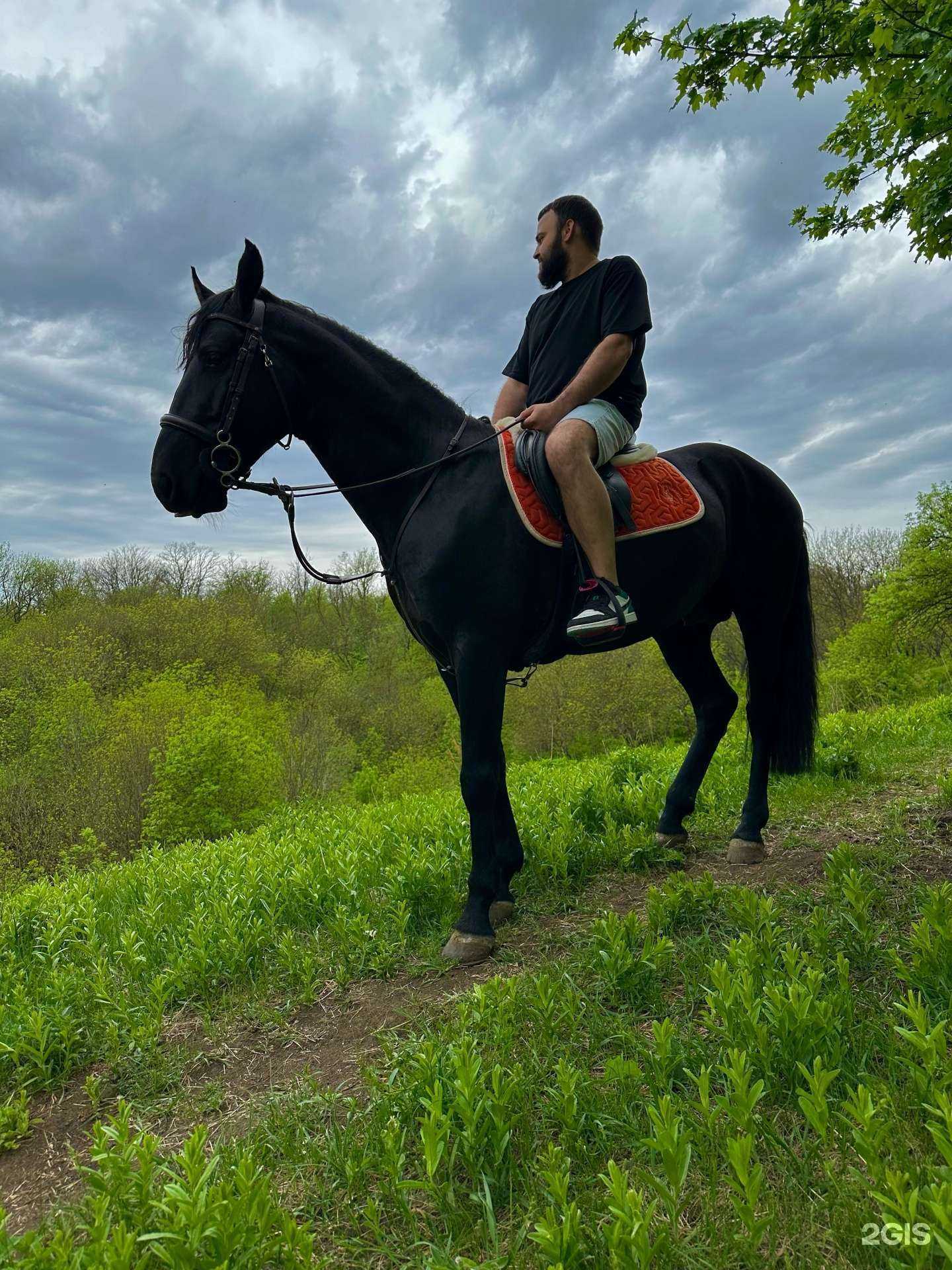 Отзывы на компанию Верхом-на-Дону в Ростове-на-Дону c фото