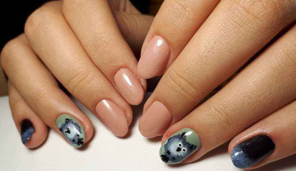 Отзывы на компанию Василиса в г. Якутск c фото