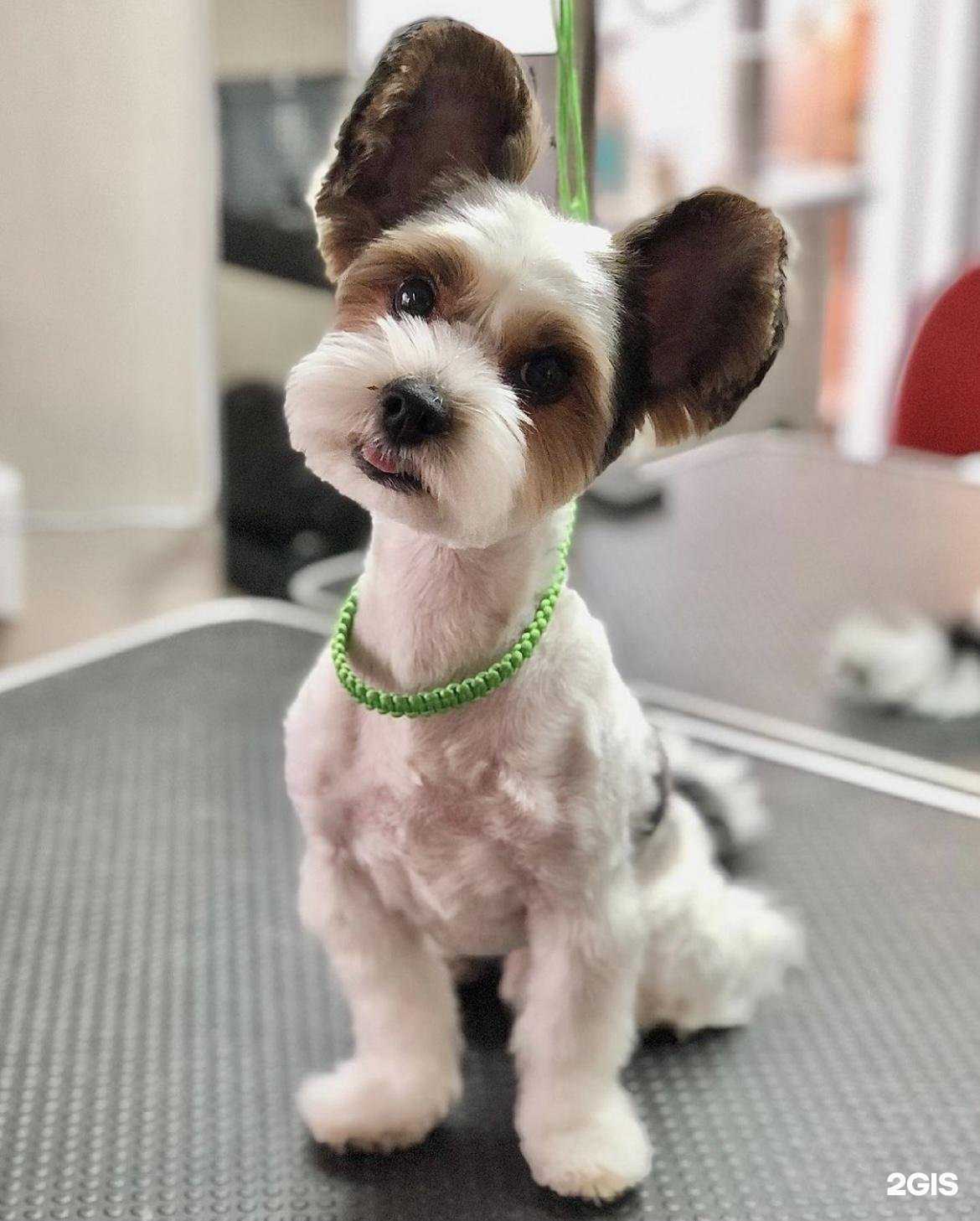 Отзывы на компанию Колтун.off в Челябинске c фото