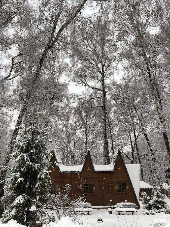Отзывы на компанию Русский лес в г. Новомосковск c фото