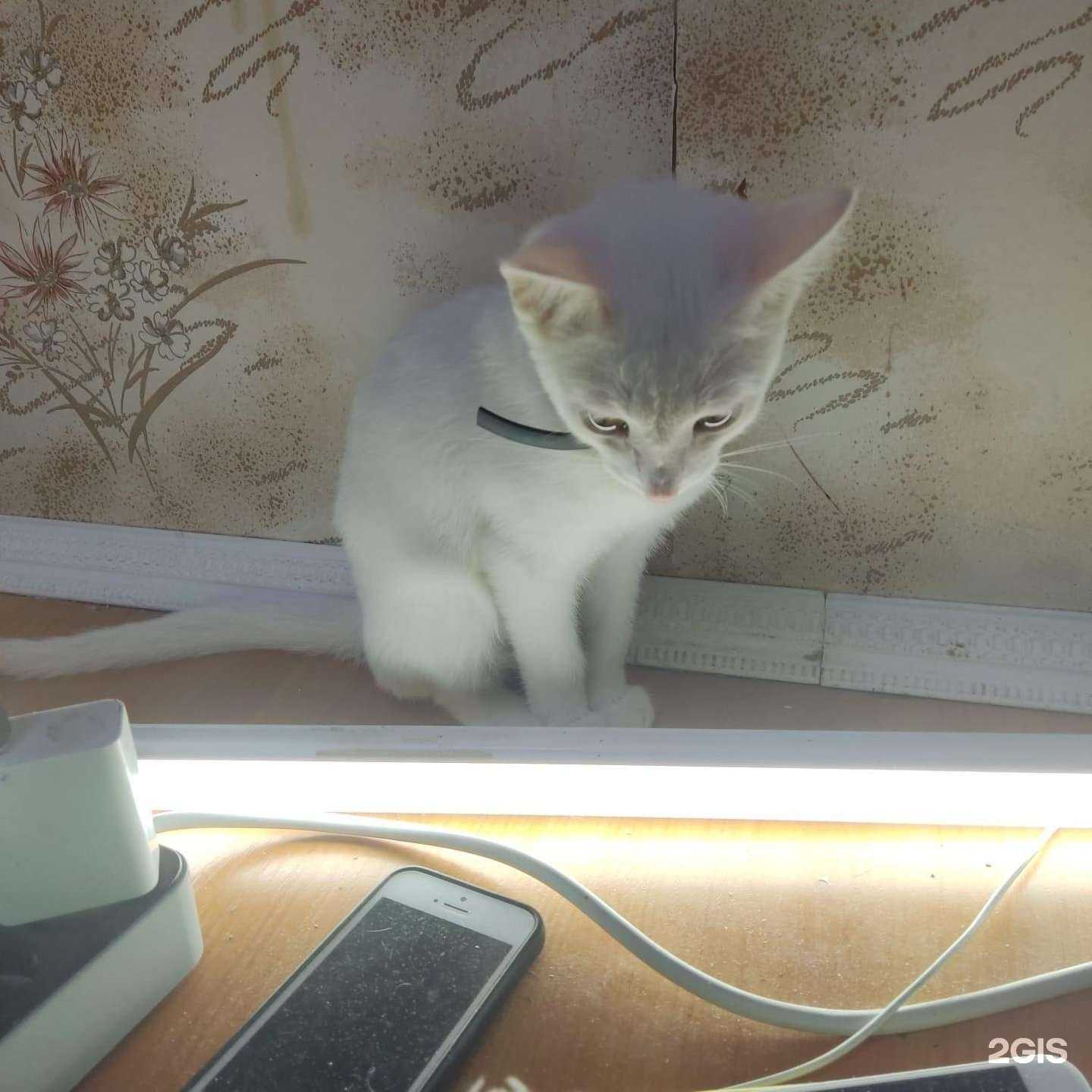 Отзывы на компанию Секрет Нефертити в Уфе c фото