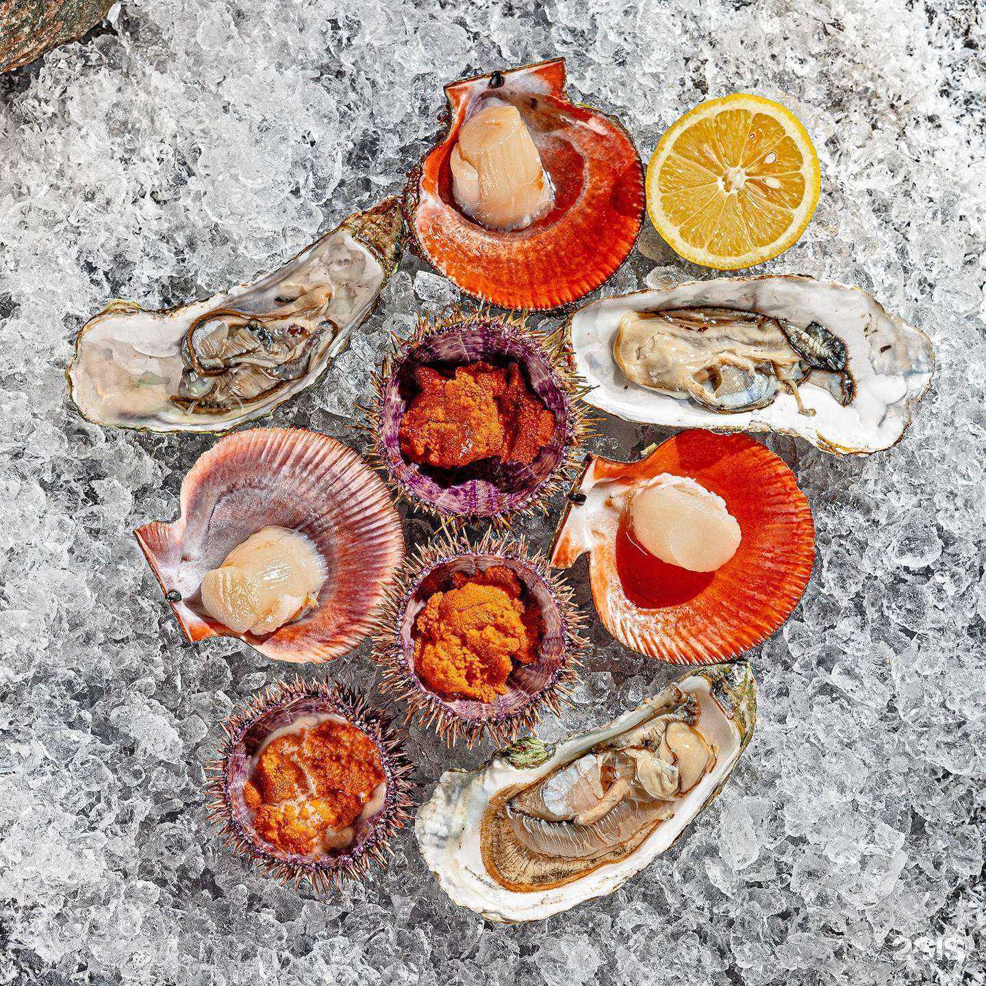 Отзывы на компанию Терраса в г. Мурманск c фото