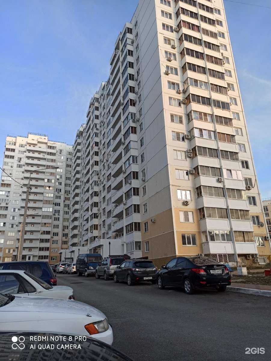 Отзывы на компанию Геленвет в Геленджике c фото - фотография 2 из 2