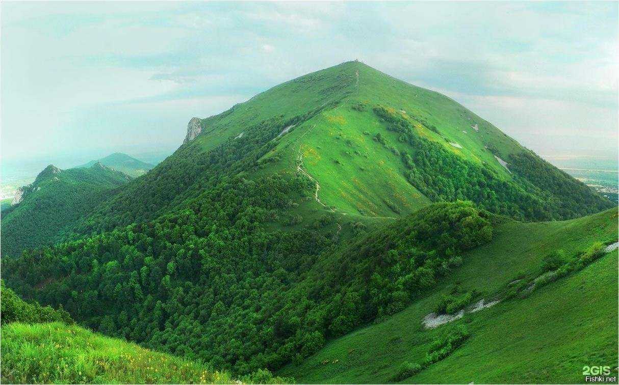 Отзывы на компанию Green house в Железноводске c фото