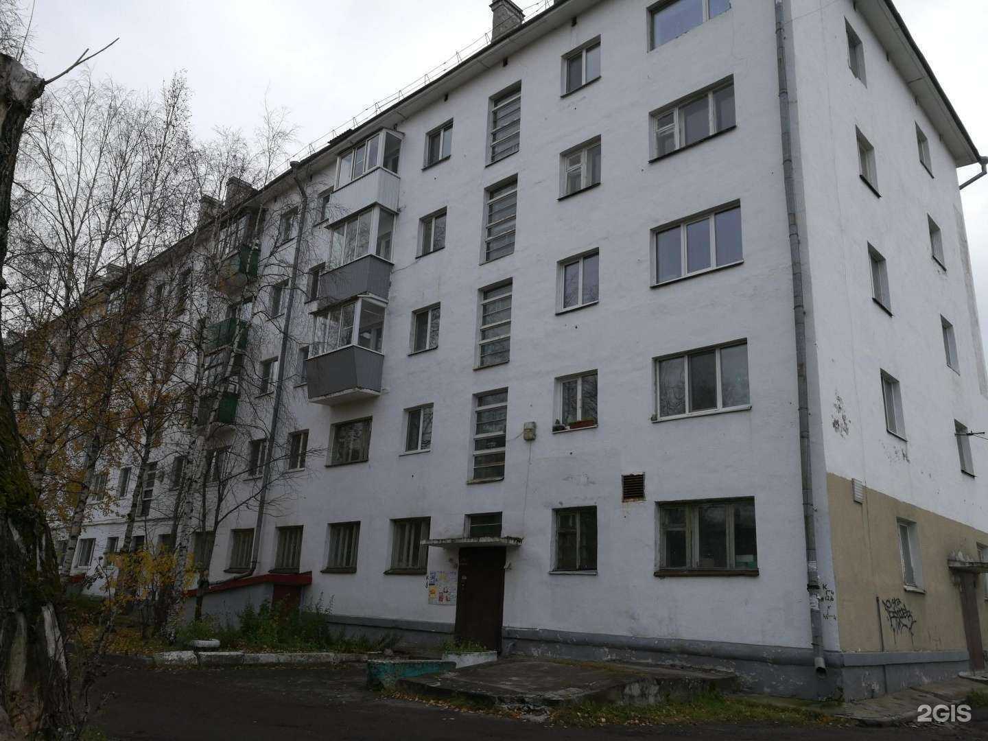 Отзывы на компанию Кот и Пёс в Архангельске c фото - фотография 2 из 2