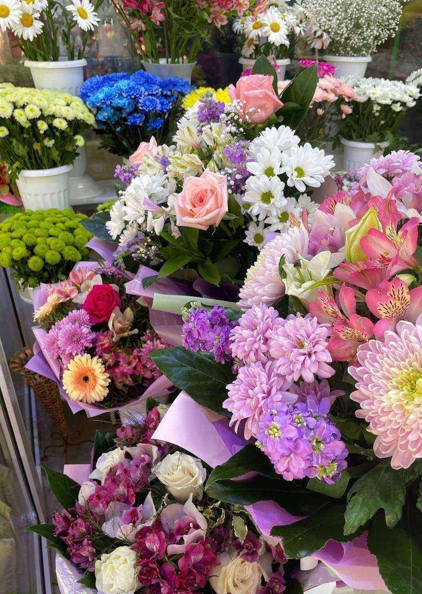 Отзывы на компанию Жасмина в г. Томск c фото