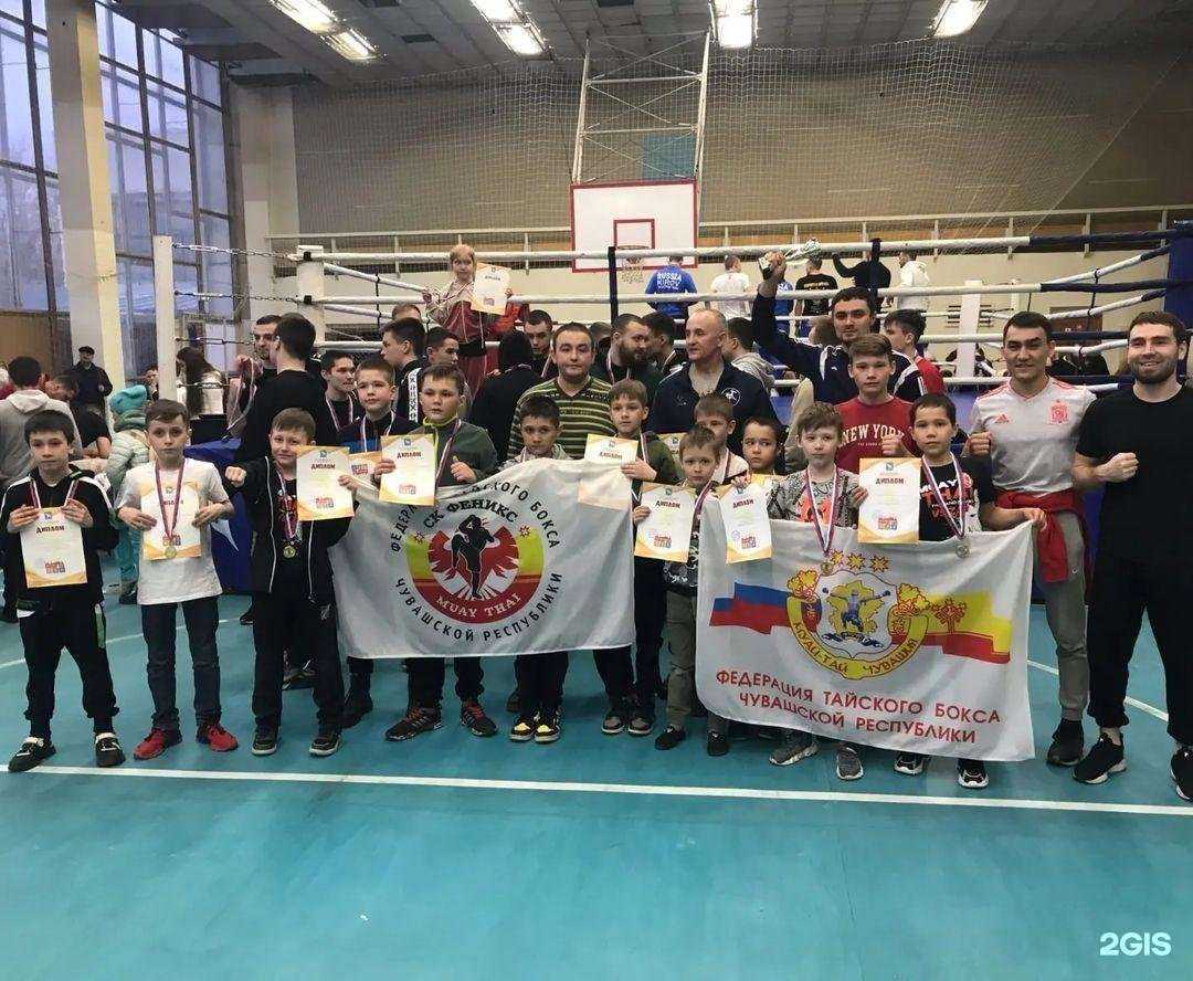 Отзывы на компанию Феникс в г. Чебоксары c фото