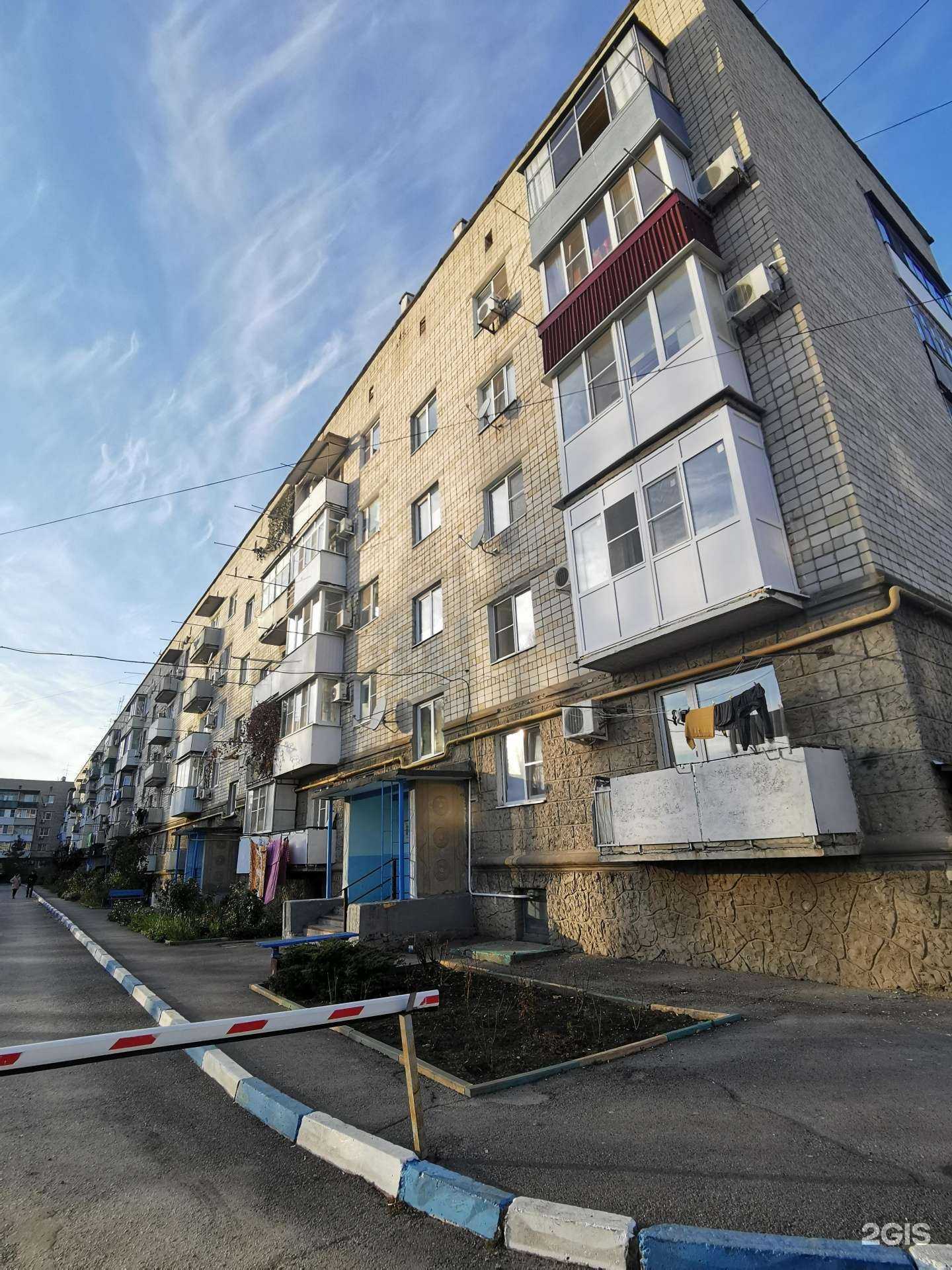 Отзывы на компанию Доктор-Вет в Батайске c фото - фотография 2 из 2