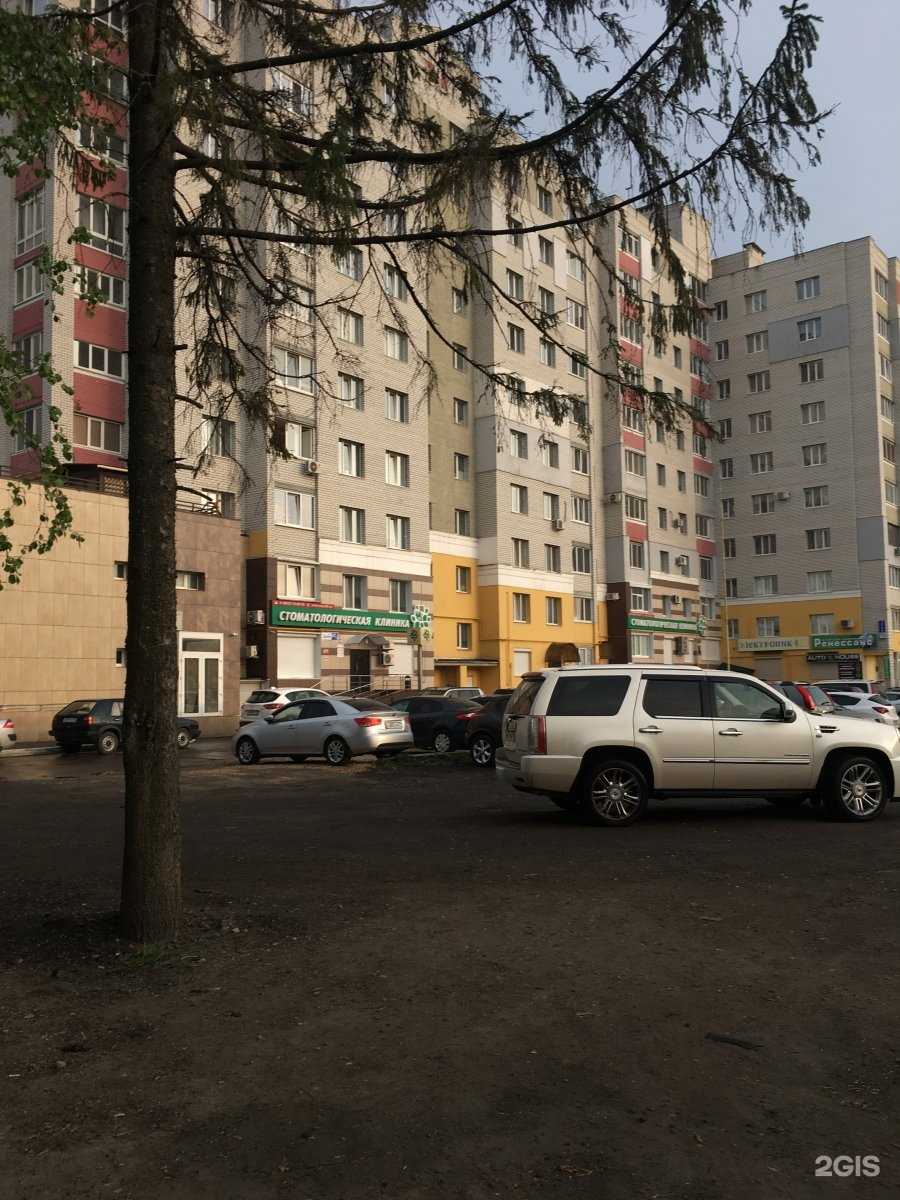 Отзывы на компанию Центр экологических и спасательных операций в Брянске c фото - фотография 2 из 2