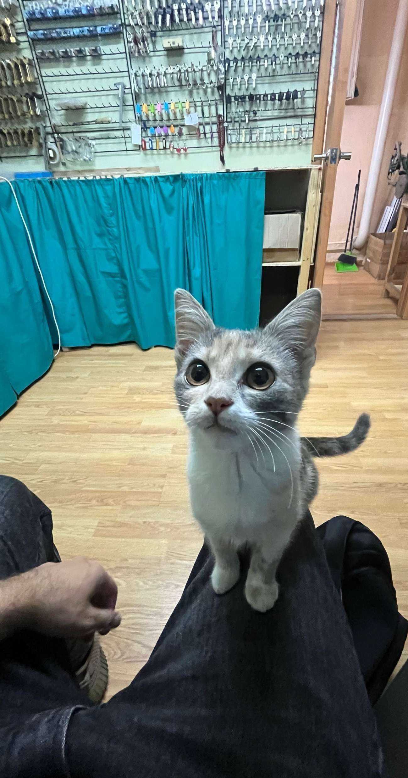 Отзывы на компанию Мастерская быта в г. Краснодар c фото