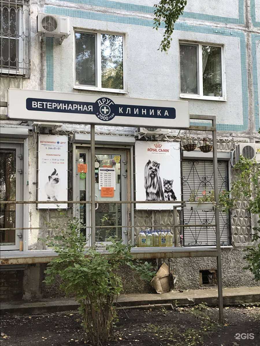 Отзывы на компанию Друг в г. Самара c фото