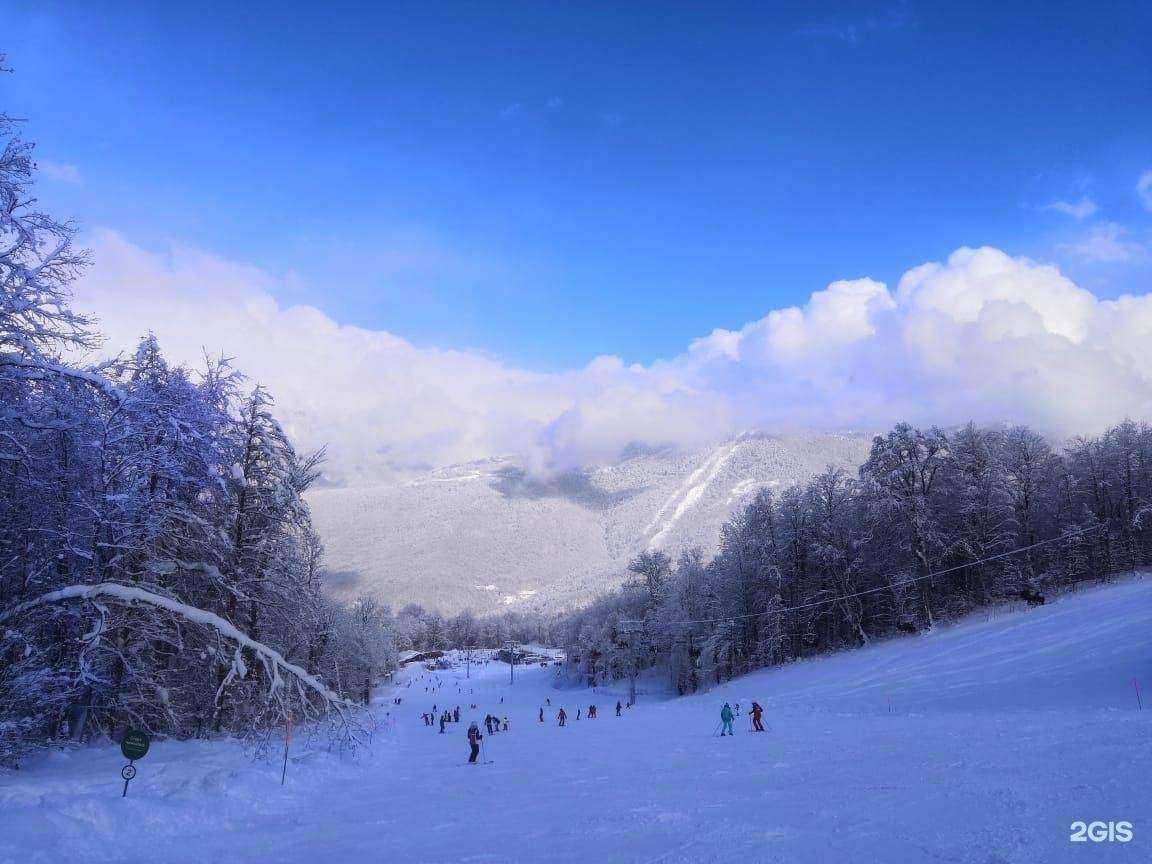 Отзывы на компанию Центр детского и юношеского туризма и экскурсий в г. Сочи c фото