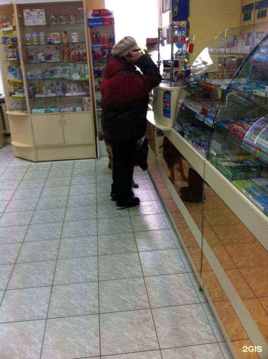 Отзывы на компанию Листик в г. Новосибирск c фото