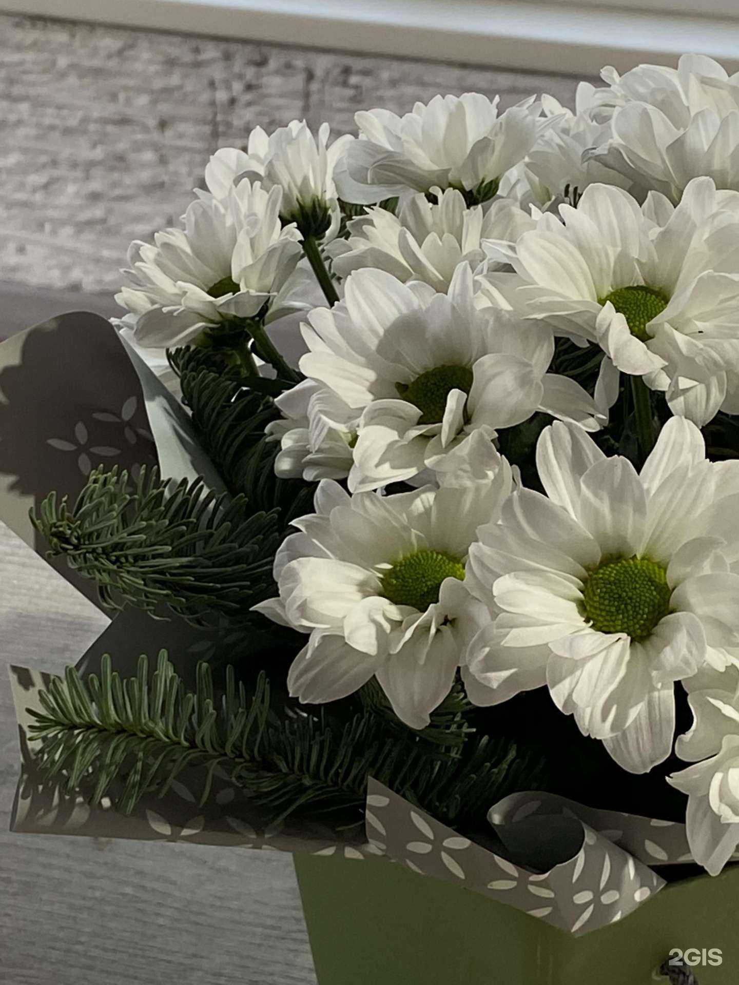 Отзывы на компанию Орхидея в г. Прокопьевск c фото