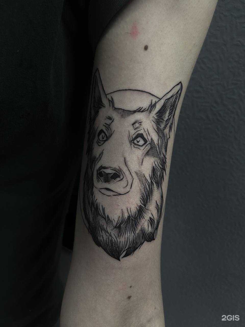 Отзывы на компанию Black Ink в Серпухове c фото