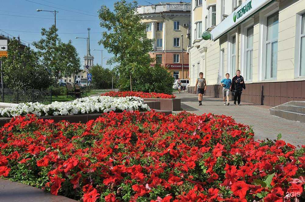 Отзывы на компанию Призер в Ангарске c фото - фотография 2 из 2