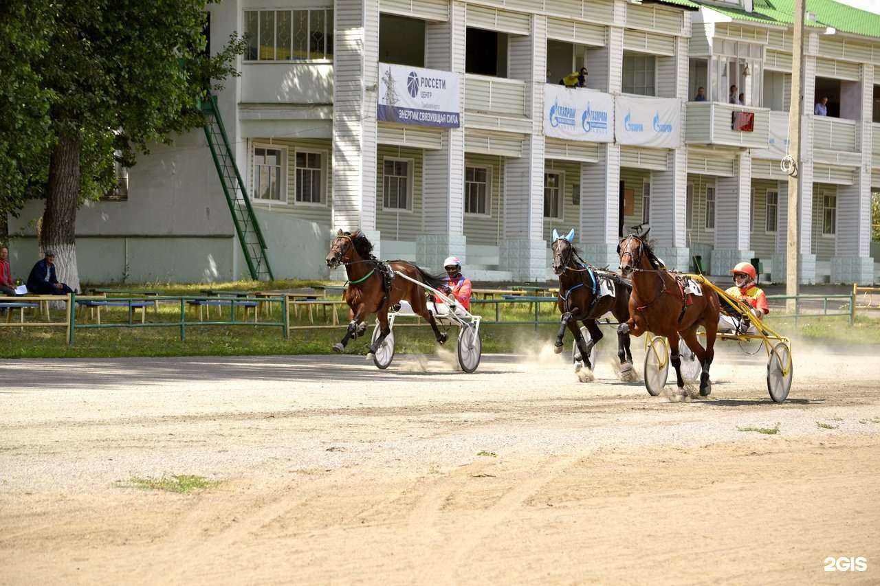 Отзывы на компанию Тамбовский ипподром в г. Тамбов c фото