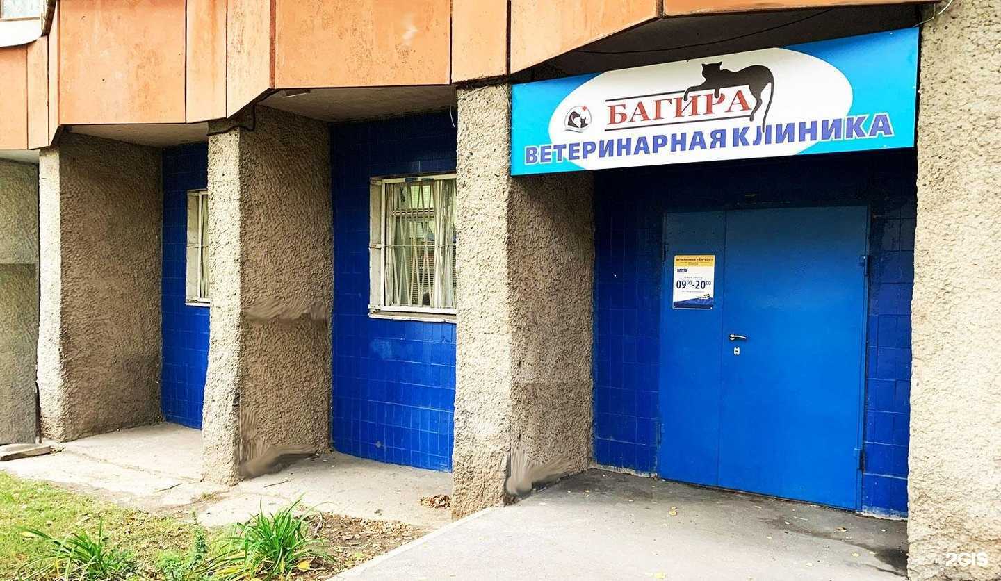 Отзывы на компанию Багира в Туле c фото