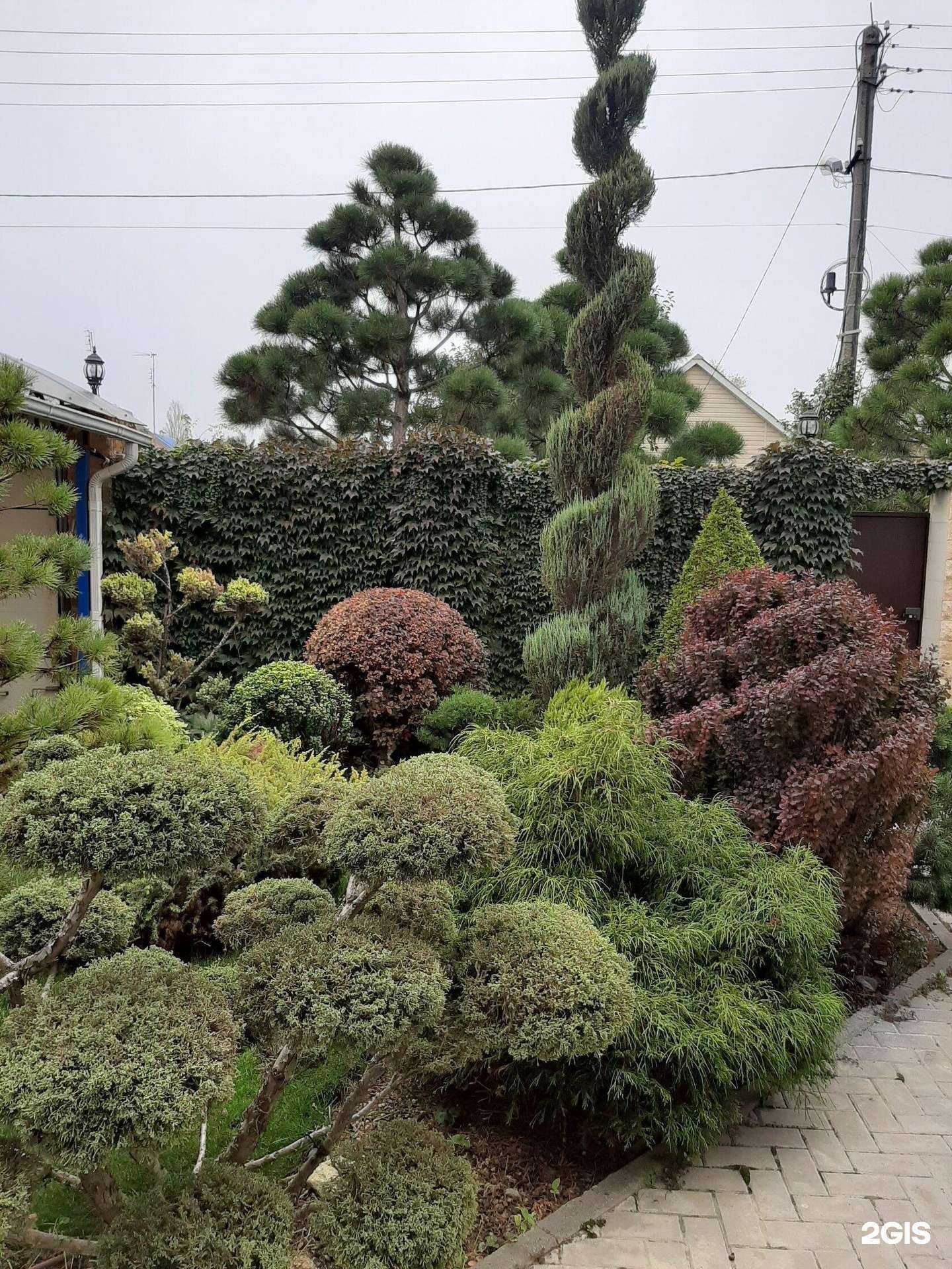 Отзывы на компанию Онлайн университет дизайна в г. Ростов-на-Дону c фото