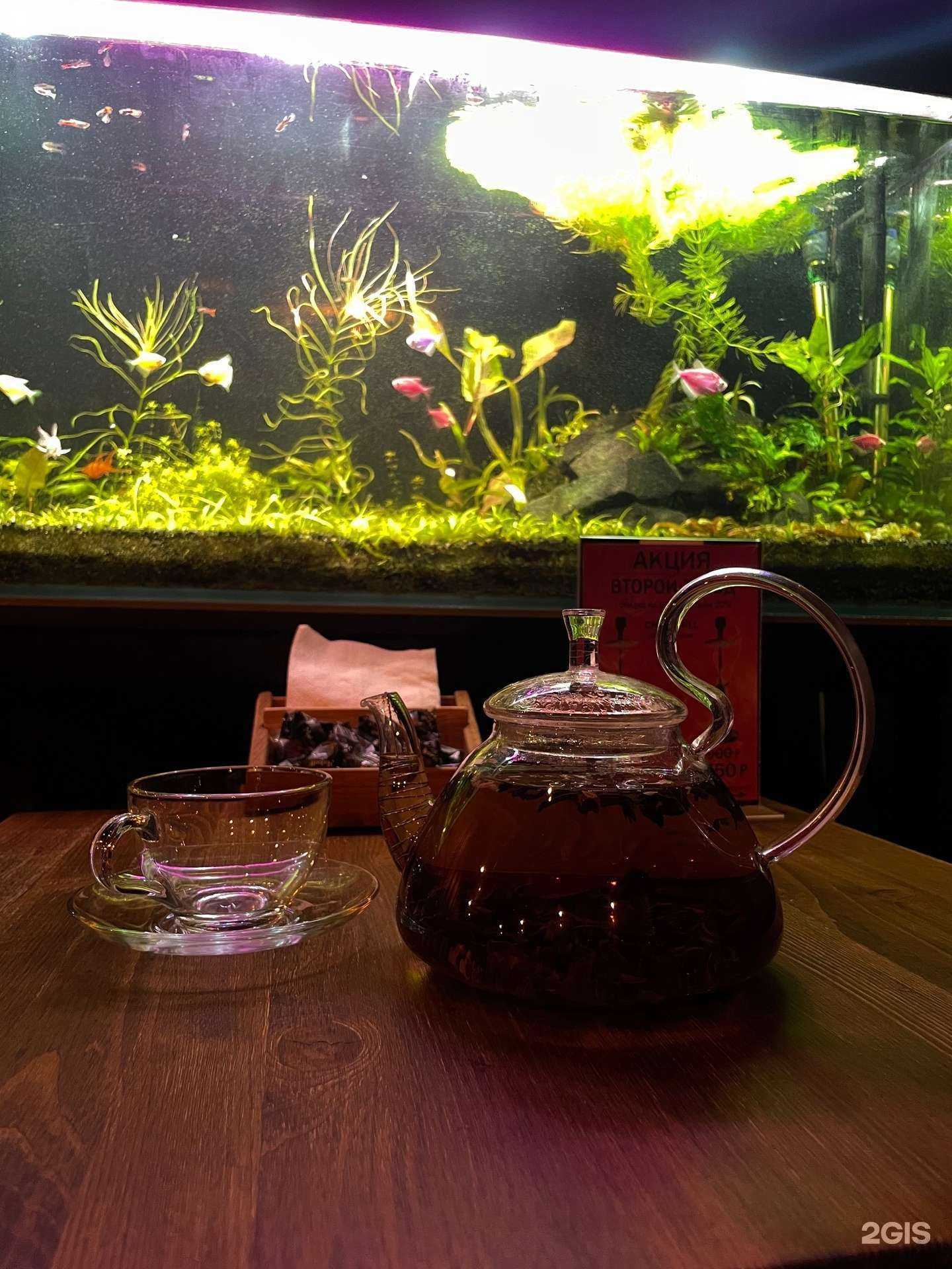 Отзывы на компанию Churchill в г. Киров c фото