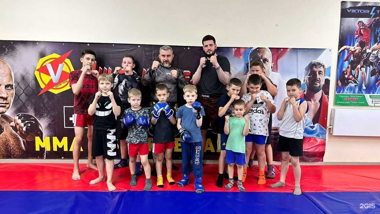 Отзывы на компанию Viktor Team в Новосибирске c фото