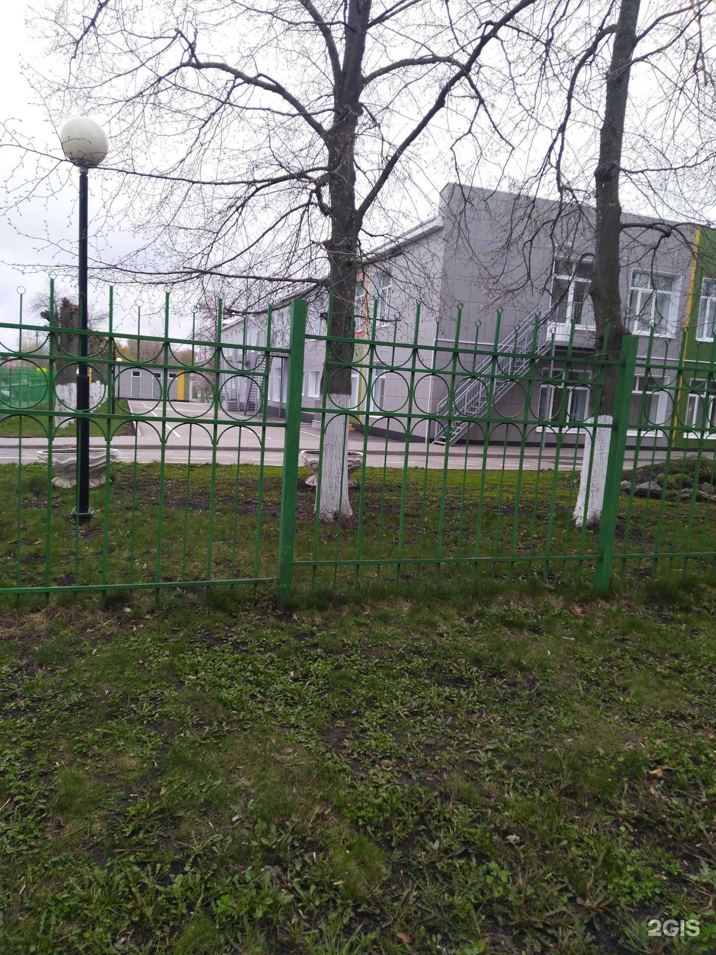 Отзывы на компанию Ёлочка в Тамбове c фото